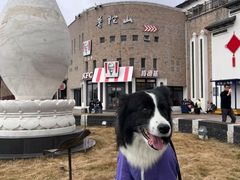 -朱家尖蜈蚣峙码头