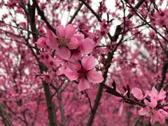 -堤角公园