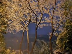 -天目湖涵田半山温泉