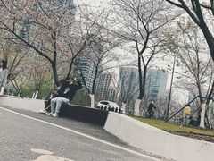 -西北湖绿化广场
