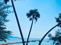 -那琴半岛地质海洋公园