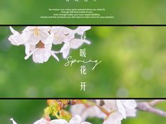 -上海辰山植物园