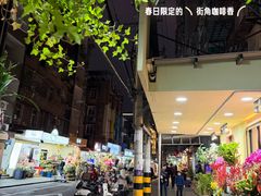 -溪岸路花鸟市场