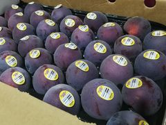 -江杨农产品批发市场