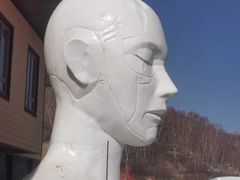 -多乐美地滑雪场