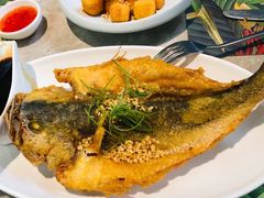 -大树餐厅(红旗街万达店)