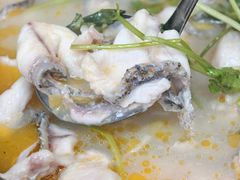 -大鼎石锅鱼(春江里店)