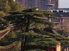 -上海东林寺(金山区)