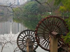 -重庆彩云湖湿地公园