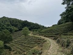 -南北湖风景区