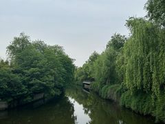 -莲花岛景区