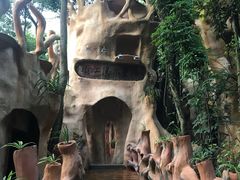 -天门沟九州驿站树上汤泉