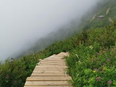 -白草畔自然风景区