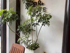 -Eu2+ coffee(上大路店)