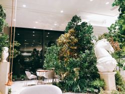 -MuseMarry婚纱(前海嘉里中心店)
