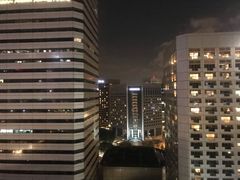 -新加坡瑞士史丹福酒店