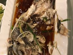 -河源万绿湖美思威尔顿酒店