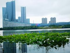 -天鹅湖体育公园