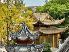 -上海东林寺(金山区)