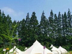 -前小桔亲子创意农场·草莓采摘·露营烧烤