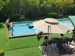 -汪说喵讲宠物乐园宠物酒店(红星美凯龙店)