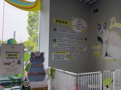 -上海浦东smart汽车全功能店(金桥店)