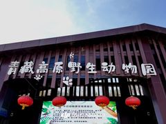 -青藏高原野生动物园