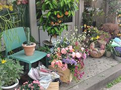 -同合居·非遗东北菜(红博会展店)