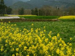 -楠溪江风景名胜区