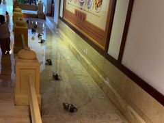 -锦园餐厅(九龙湖开元度假村店)