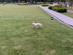 -上海交通大学(闵行校区)