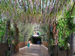 -郑州方特梦幻王国