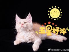 -津品味小吃(大学湾店)