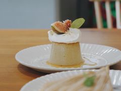 -猫里有甜