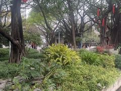 -荔湾湖公园