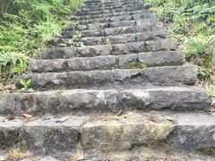 -四明山国家森林公园