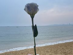 -银沙滩浴场