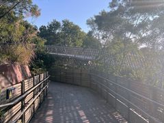 -福道