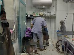 -达爱动物医院·犬猫分区·CT·复杂眼科(远洋山水分院)