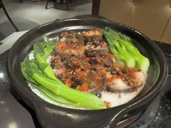 -金燕岛潮州酒楼