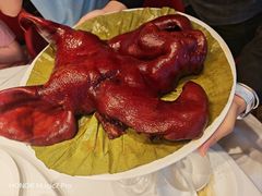 -食廬(浦东嘉里城店)