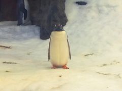 -悉尼海洋生物水族馆