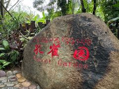 -西双版纳傣族园