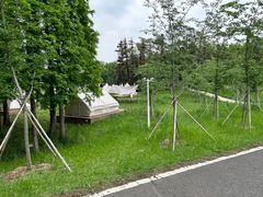 -宜兴龙背山森林公园