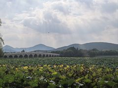 -云龙湖旅游景区