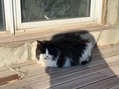 -北马山庄植趣咖啡