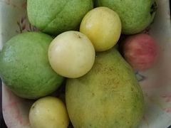 -南沙十九涌渔人码头-南门