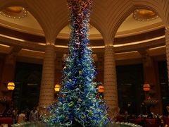-亚特兰蒂斯水世界冒险乐园