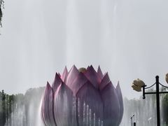 -白洋淀风景区