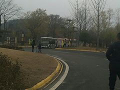 -黄陂区野村谷景区